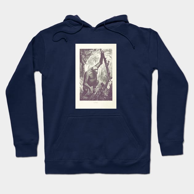 Gorilla gorilla gorilla Hoodie by howaboutthat